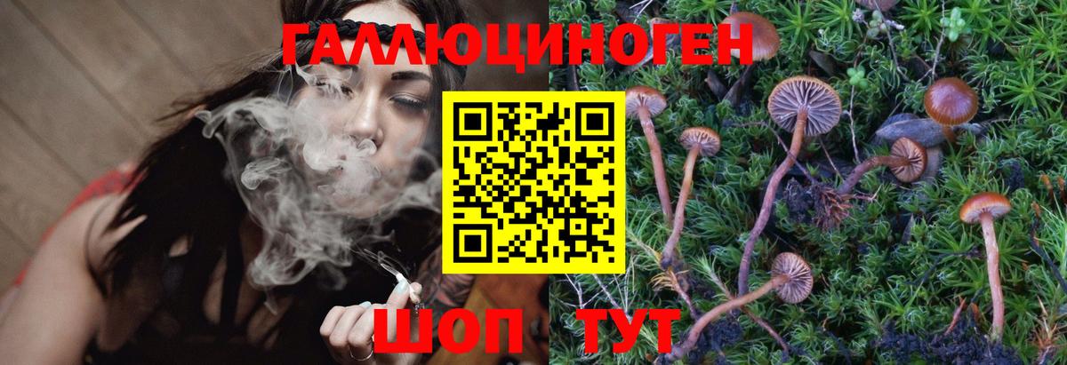 Галлюциногенные грибы Psilocybe  Вход с VPN  Сыктывкар 